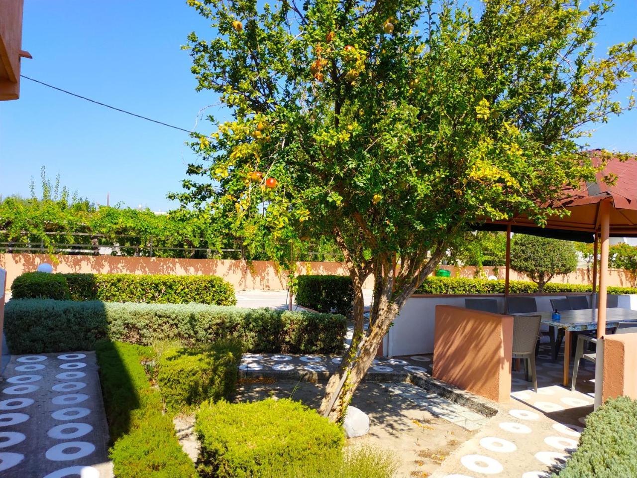 Kyriakos Studios Lejlighed Afantou